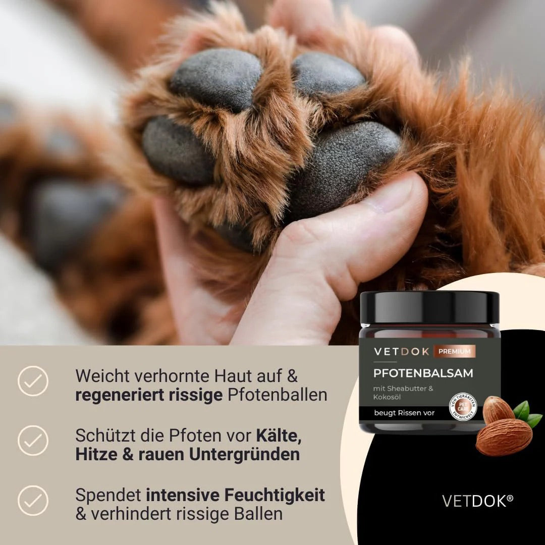 Pfotenbalsam 60ml
