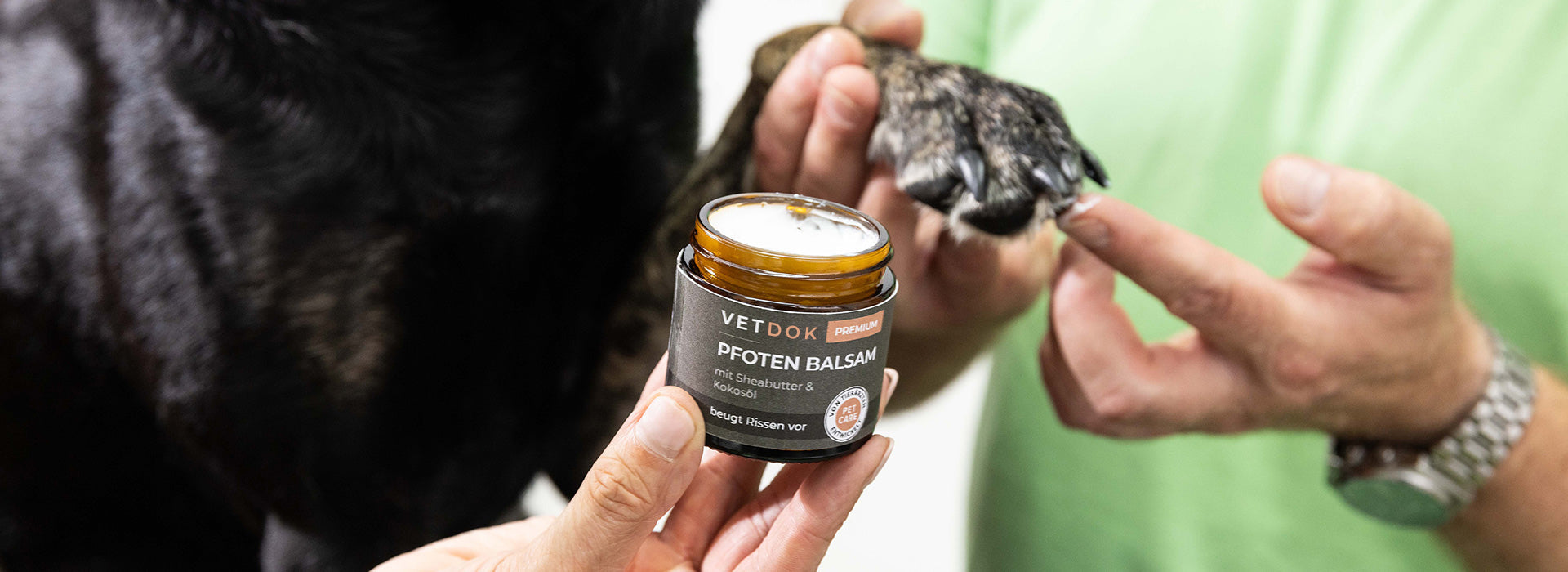 Pfotenpflege für Hunde: Warum sie so wichtig ist & die besten Tipps für gesunde Hundepfoten